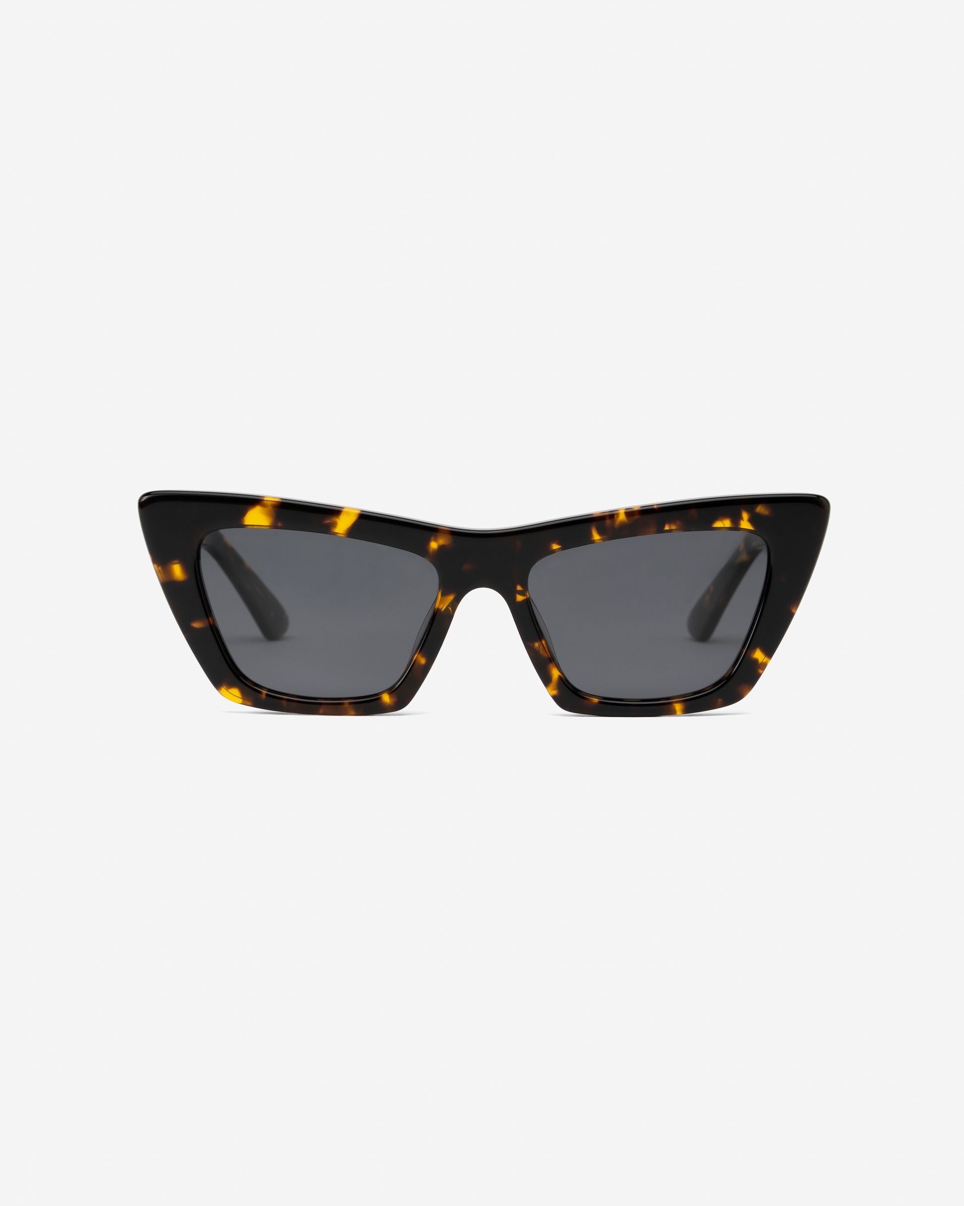 Campbell Havana cat eye sunglasses front view