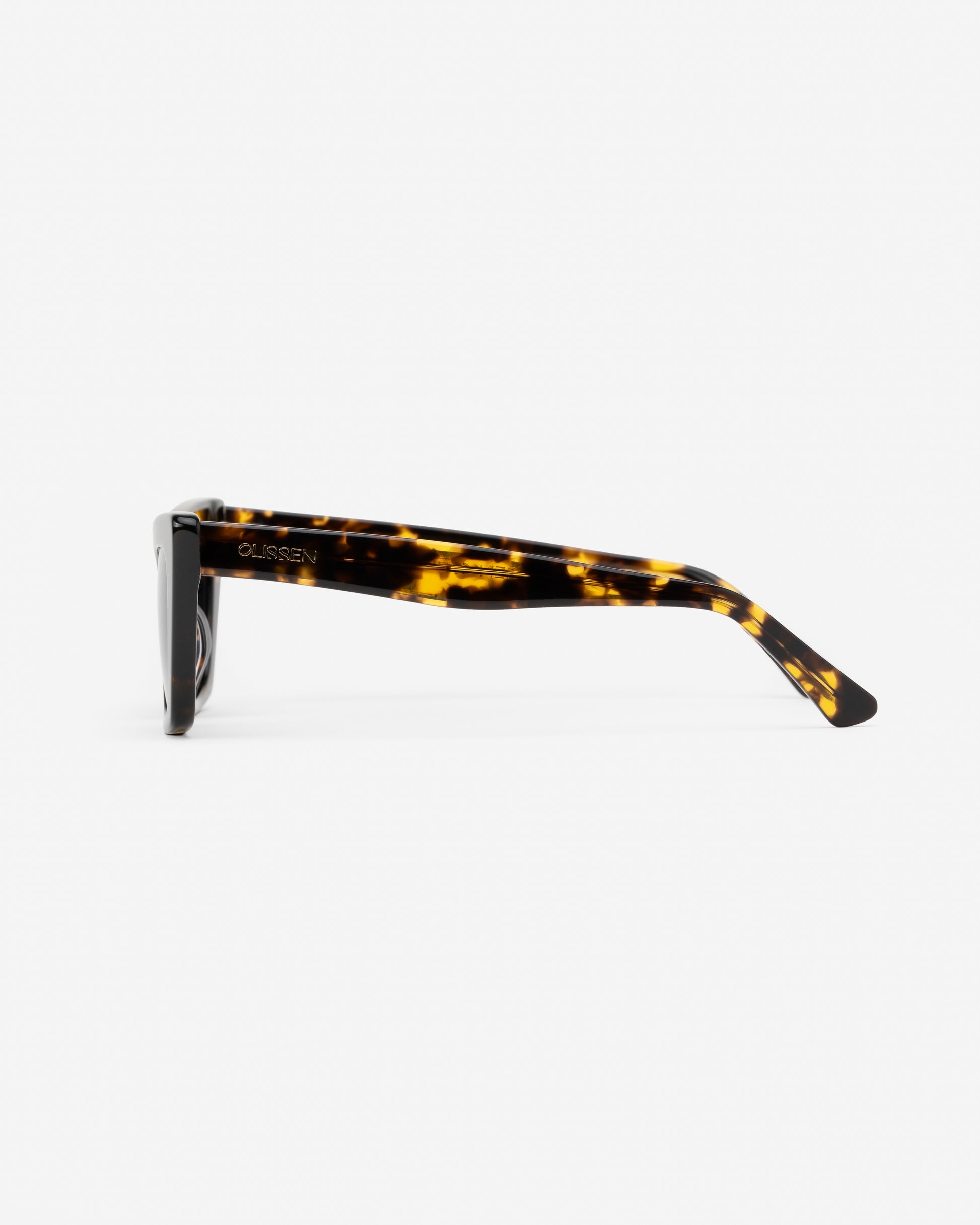Campbell Havana sunglasses side view