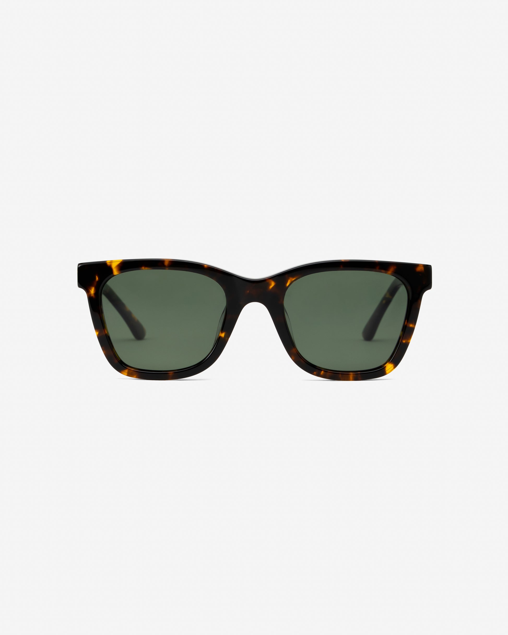 Falcon Brown Havana square sunglasses green lenses front view
