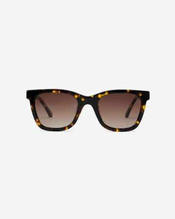 Falcon Brown Havana square gradient brown lenses sunglasses front view