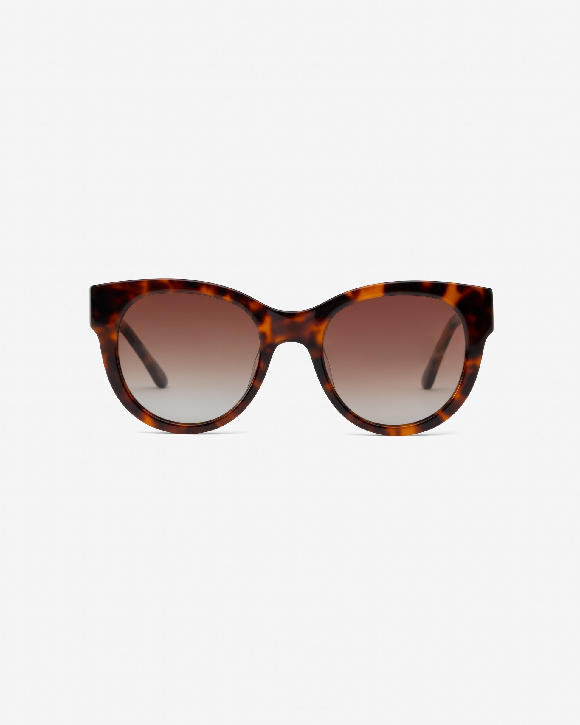 Olivia Brown Havana round sunglasses front view