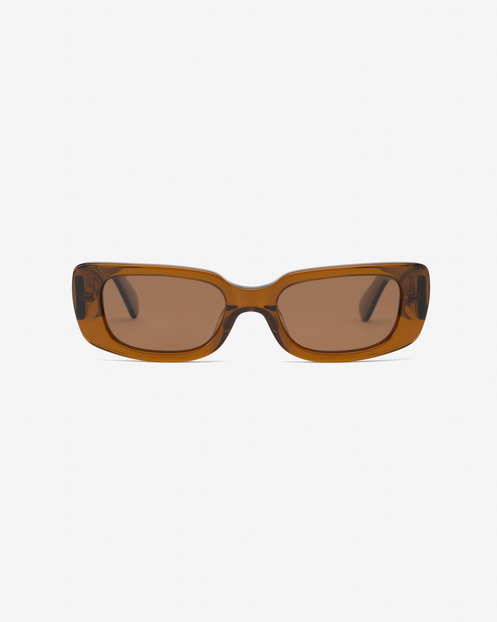 Trini Transparent Brown rectangular sunglasses front view